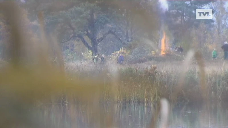 Jongeren ruimen natuur op in Genk