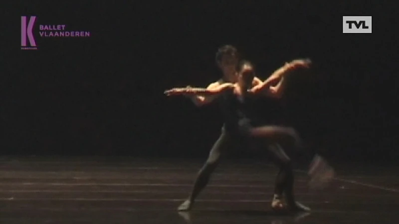 Neerpeltenaar Wim Vanlessen staat 20 jaar aan top van ballet