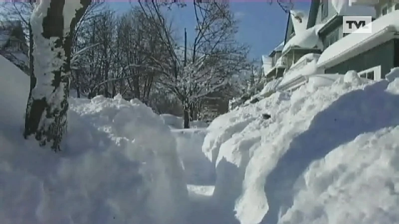 Limburger beschrijft sneeuwstorm in New York