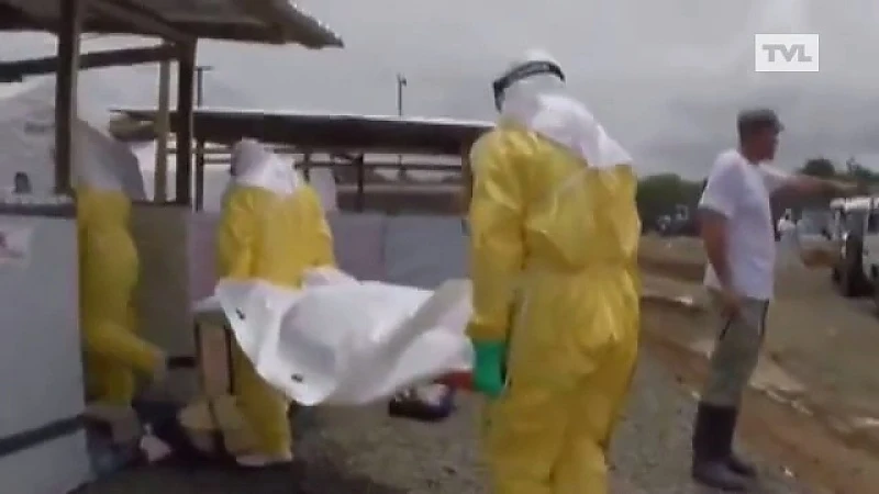 Limburgse dokter bestrijdt ebola in Guinée