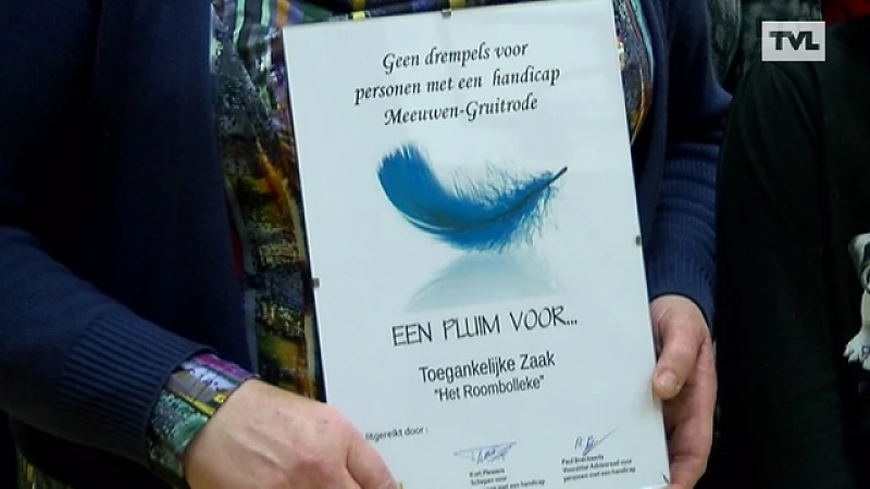 Meeuwen-Gruitrode: Toegankelijkheidspluimen