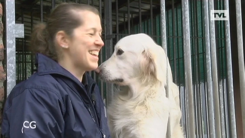 Dopjes inzamelen om Geleidehonden op te leiden