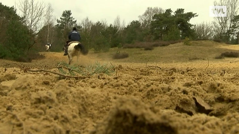 Meeuwen-Gruitrode: Ruitertochten in duinengordel
