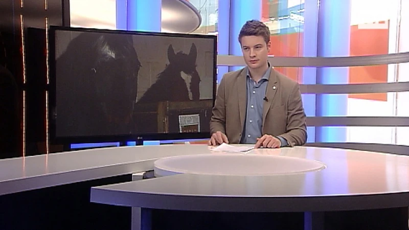 Rhinovirus onder controle, manege Alken weer open