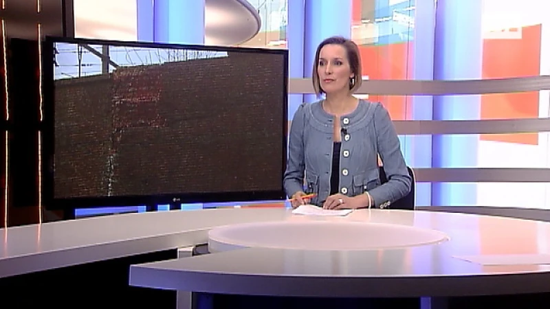 Klimop oorzaak enorme scheur muur station Tongeren