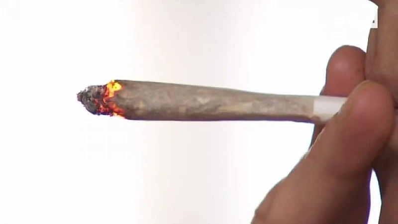Straathoekwerkers waarschuwen: "Cannabis niet zo onschuldig"