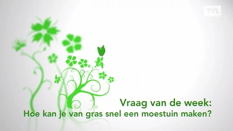 Tuindokter: gras op korte tijd omtoveren tot moestuin