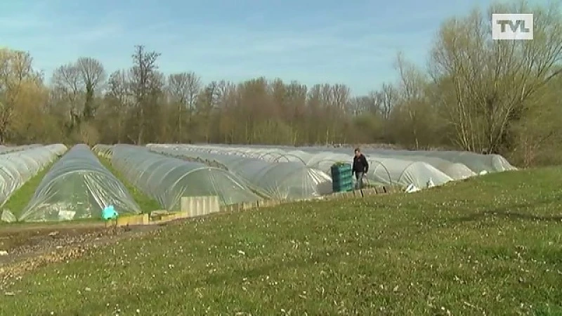 Fan van Limburg, 14 april