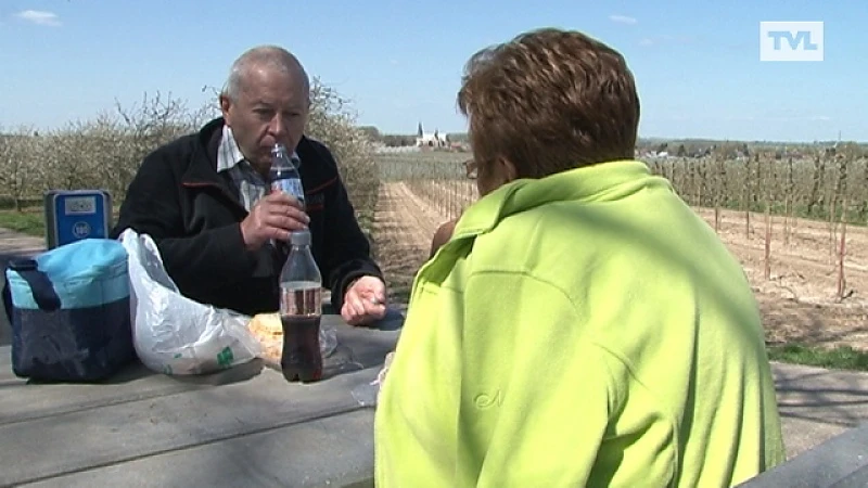 Bloesempracht op z'n mooist in Haspengouw
