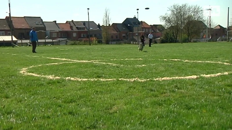 Europees kampioenschap dogfrisbee in Borgloon