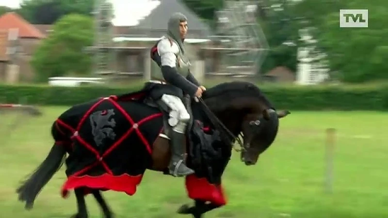 Hasselt: Sage van de eenhoorn