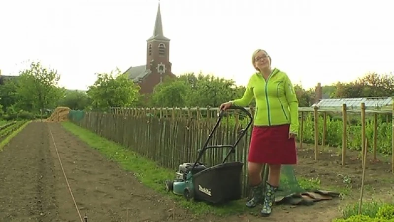 Tuindokter: Wat met grasmaaisel?