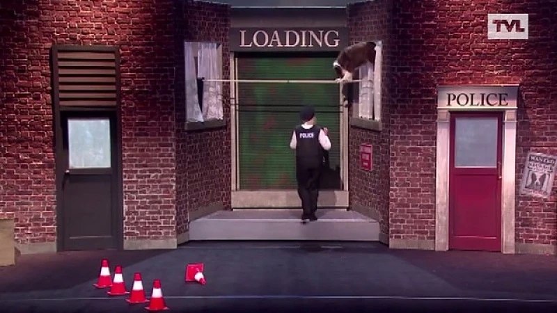 Exclusief: Tongerse reageert op heisa na overwinning Britain's Got Talent