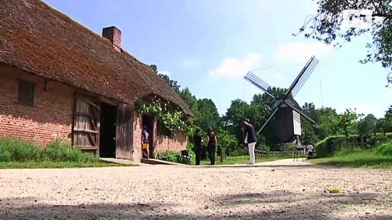 Japanse filmploeg filmt voor 'A dog of Flanders' in Bokrijk.