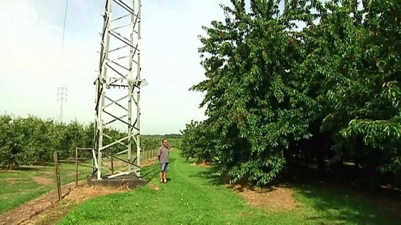 Elia wijst fruitboeren op gevaren hoogspanningslijnen