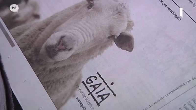 Reactie moslims op voorstel GAIA