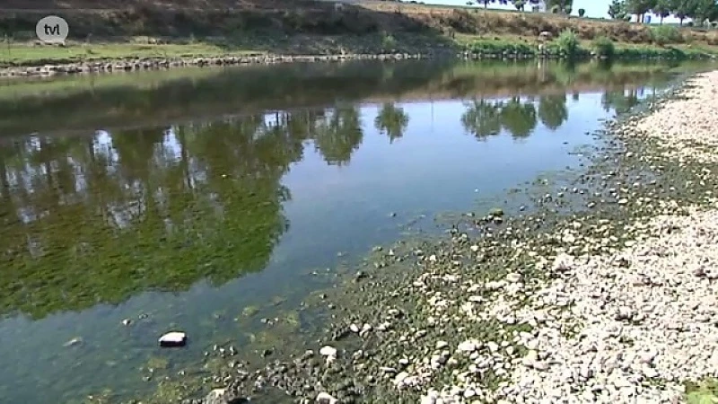 Maas staat extreem laag, droogte bedreigt landbouw