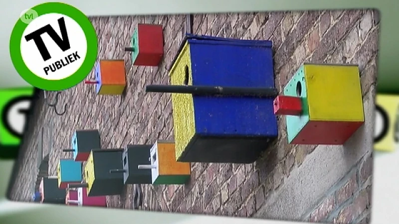 Wellen: voorstelling Kunstnetwerk Haspengouw