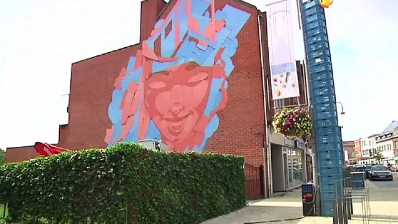 Street art Vennestraat Genk