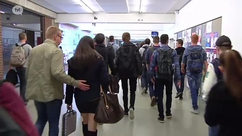 Hoger onderwijs: richtingen die werkzekerheid geven in de lift