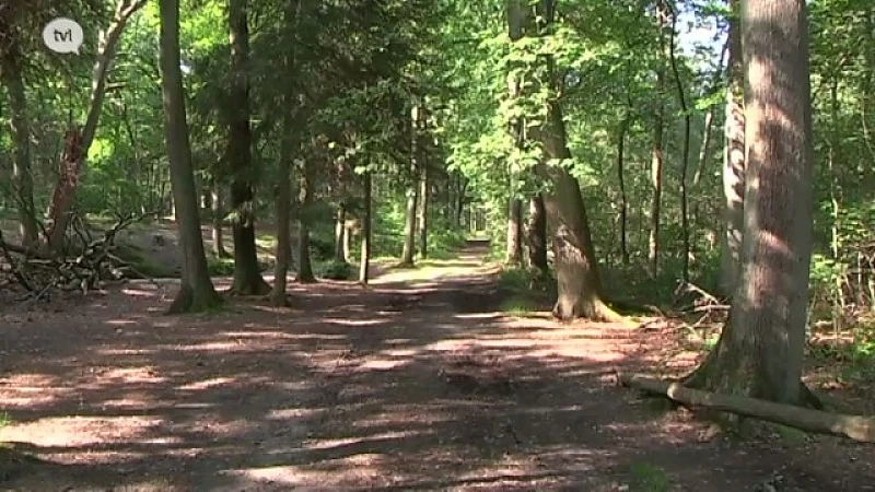 Bilzen krijgt subsidie om natuurgebied De Hoefaert te herstellen