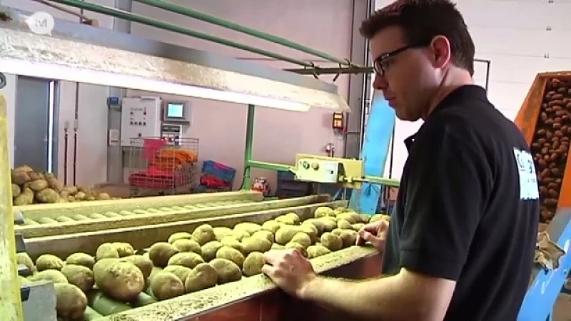 Landbouwgezin in Riemst vindt manier om meer winst te maken