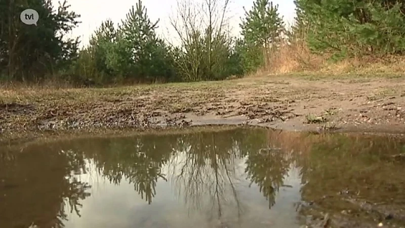 Natuurpunt in beroep tegen uitbreiding Essers in Genk