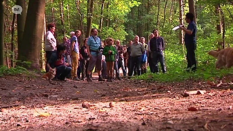 Protestwandeling tegen uitbreiding Essers op Zonhoverheide