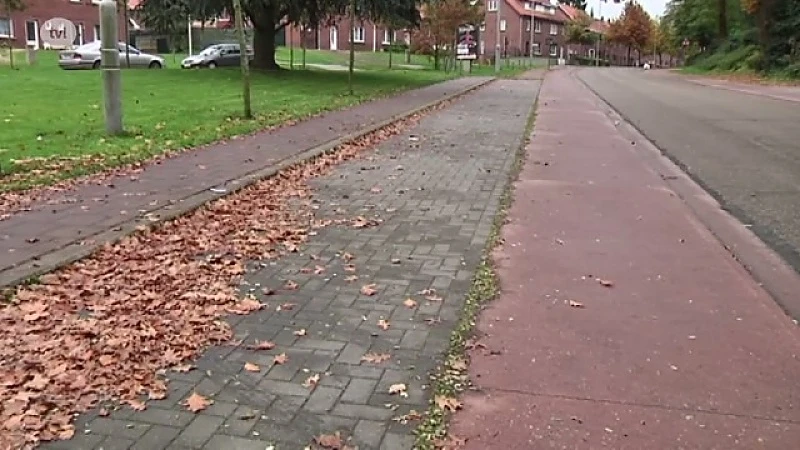 Poging tot verkrachting langs drukke weg in Genk
