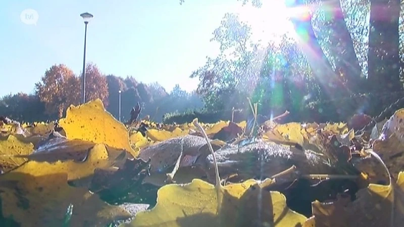 Aangenaam herfstweer tijdens de vakantie