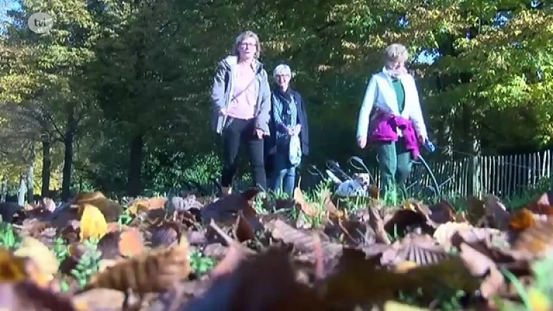 Het lijkt wel zomer: dit weekend 20 graden