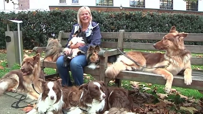 Tongerse Jules O''Dwyer treedt met acht honden op voor koninklijke familie in Londen