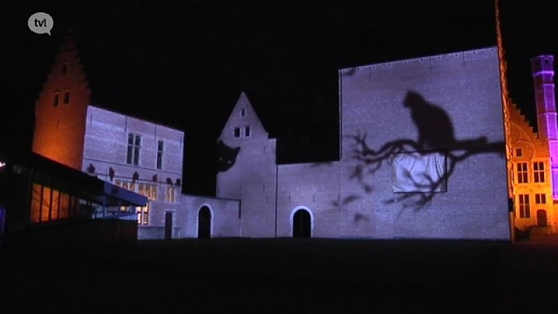 Indrukwekkende lichtshow aan Hangar 58 in Bokrijk