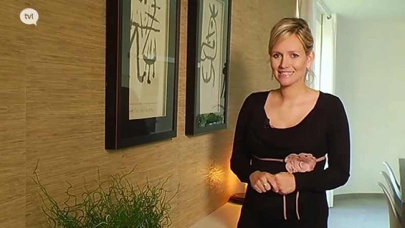 TVL Wonen 5 december 2015