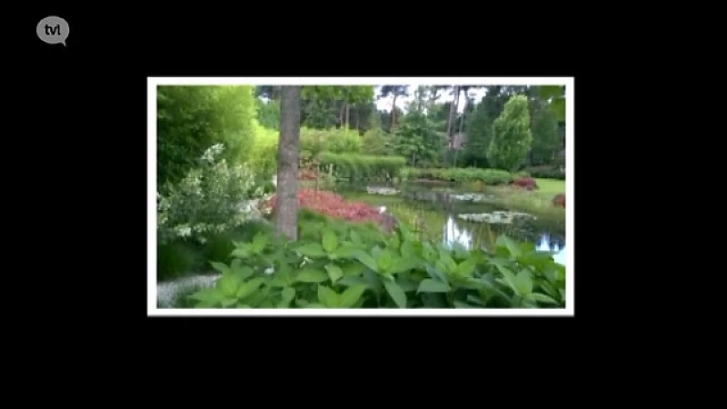 Hasselt: De Limburgse tuinaannemer 2015-2016
