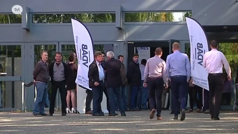 Werkloosheid daalt in Limburg met 9 procent, in Vlaanderen met minder dan 3 procent
