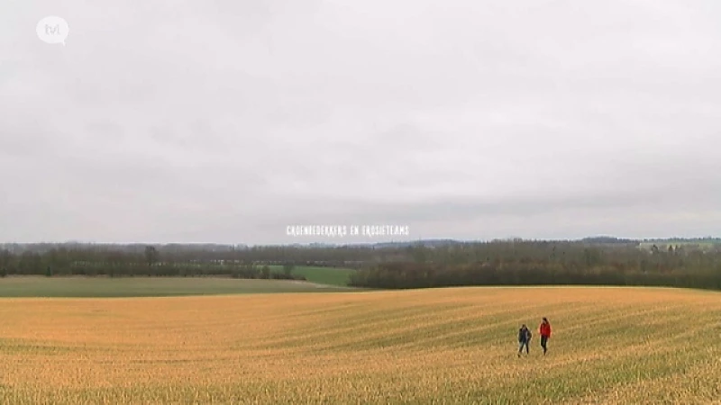 Groenbedekker & gronderosie