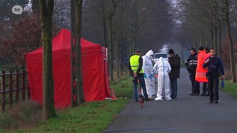 Verdachte vluchtmisdrijf Meeuwen-Gruitrode vrij met enkelband