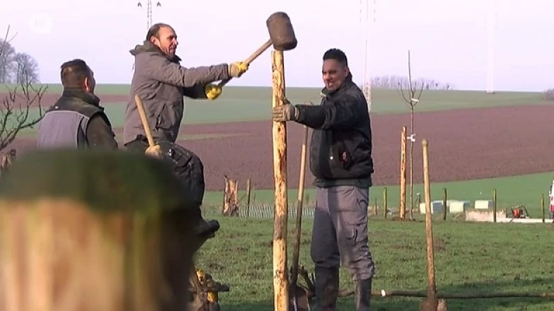 Plattelandsproject redt hoogstamboomgaarden