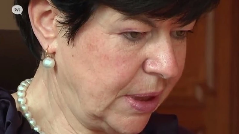 Burgemeester Frieda Brepoels veroordeeld voor vluchtmisdrijf