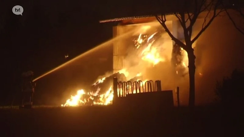 Zware brand bij Pukkelpopboer in Hasselt