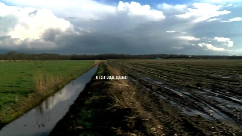 Peilgestuurde drainage