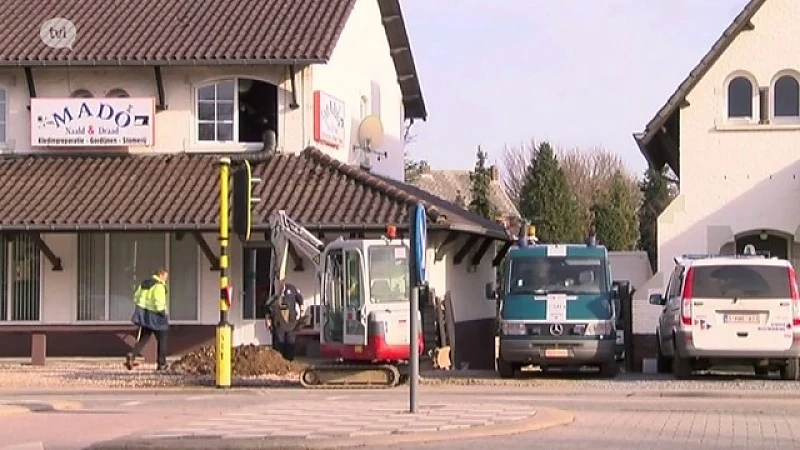 Netwerk van cannabis opgerold in Maasland