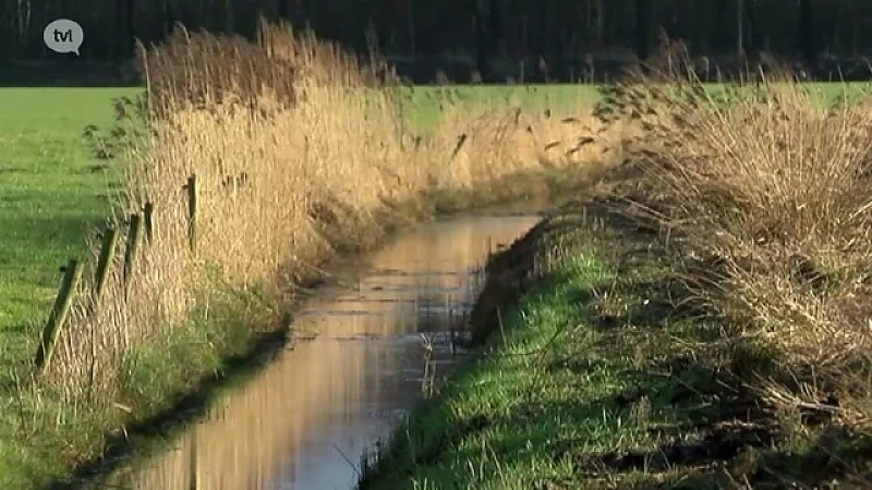 Fan van Limburg: 25 februari 2016