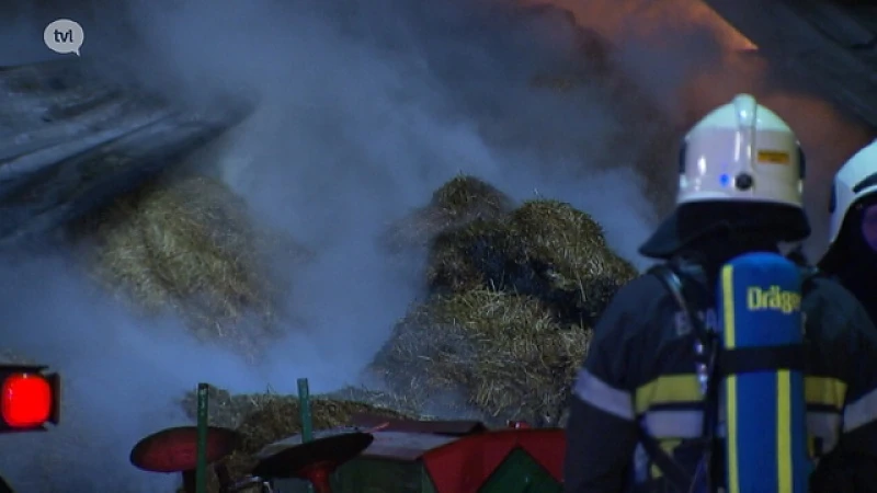 Limburgse boeren ongerust nadat pyromaan opnieuw toeslaat