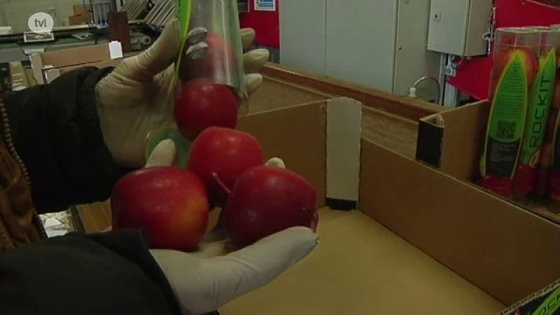 Limburgse mini-appels veroveren de wereld