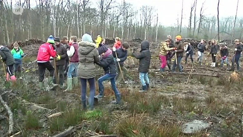 Kinderen planten bomen in natuurgebied Nietelbroek
