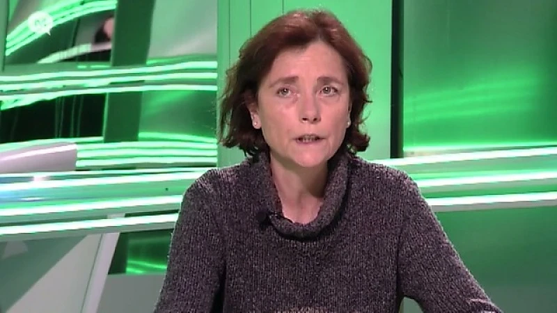 Museumconsulent: "Reliekschrijn is oudste paneelschildering van Vlaanderen"
