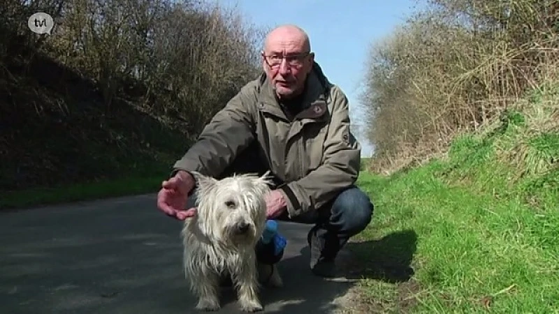 Onbekende vergiftigt honden in Sint-Truiden