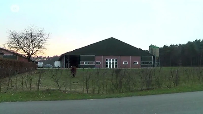Boeren planten bij boeren